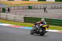 enduro-digital-images;event-digital-images;eventdigitalimages;mallory-park;mallory-park-photographs;mallory-park-trackday;mallory-park-trackday-photographs;no-limits-trackdays;peter-wileman-photography;racing-digital-images;trackday-digital-images;trackday-photos